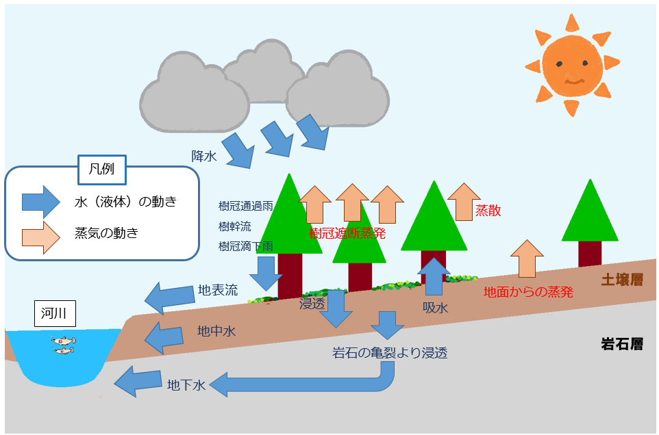 パンフレット「森林の水源涵養機能の発揮に向けて」を公開しました