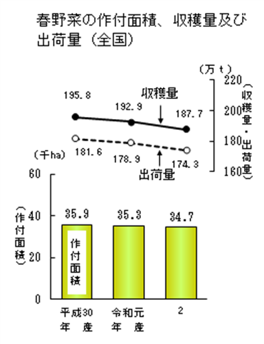 【統計】春野菜、夏秋野菜、たまねぎの作付面積、収穫量及び出荷量を公表！