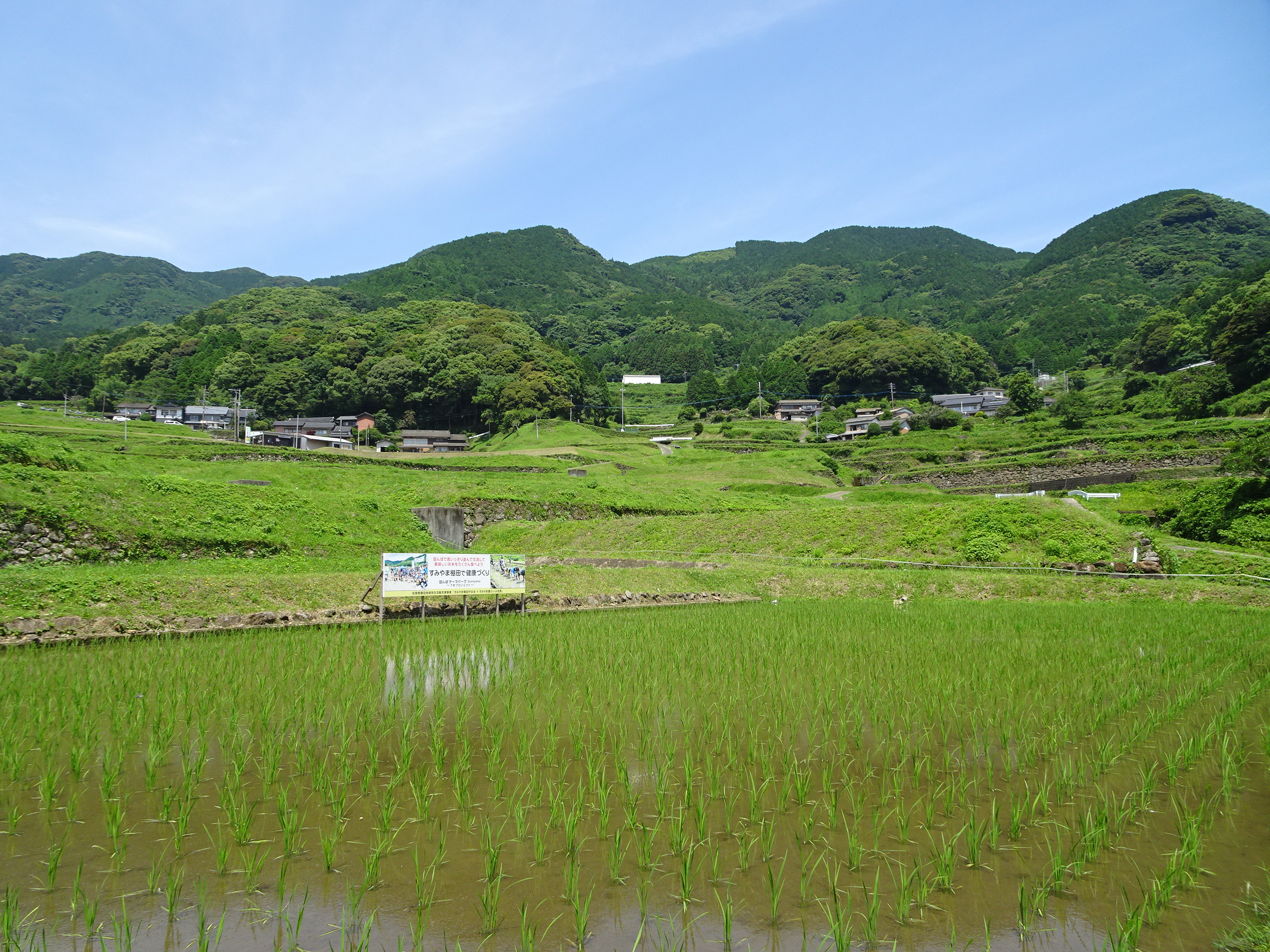 中田棚田（すみやまの棚田）