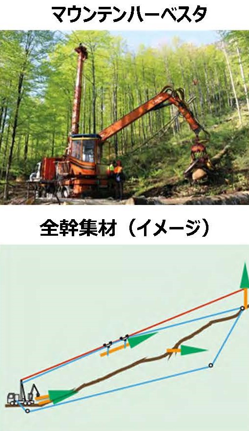 ホイール型林業機械の使用実態に関する調査報告書等を公表しました