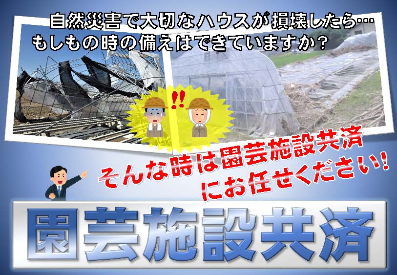 農業用ハウスの災害リスクに備えるなら園芸施設共済にお任せください！