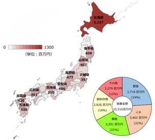 野生鳥獣による農作物被害状況をわかりやすくまとめました。