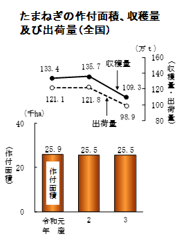 【統計】春野菜、夏秋野菜、たまねぎの収穫量等（令和3年産）を公表！