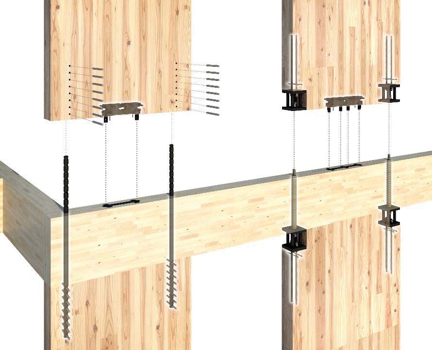 建築用木材の技術開発や建築物への利用実証の支援策とその成果をWebサイトにまとめました