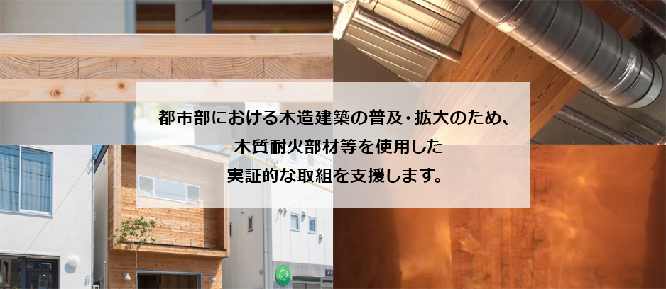 建築用木材の技術開発や建築物への利用実証の支援策とその成果をWebサイトにまとめました