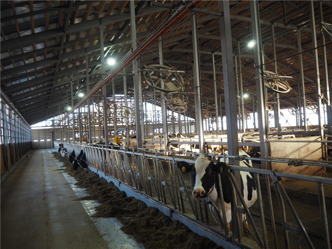 農業DXの事例紹介④データを活用した牛群管理・個体選抜
