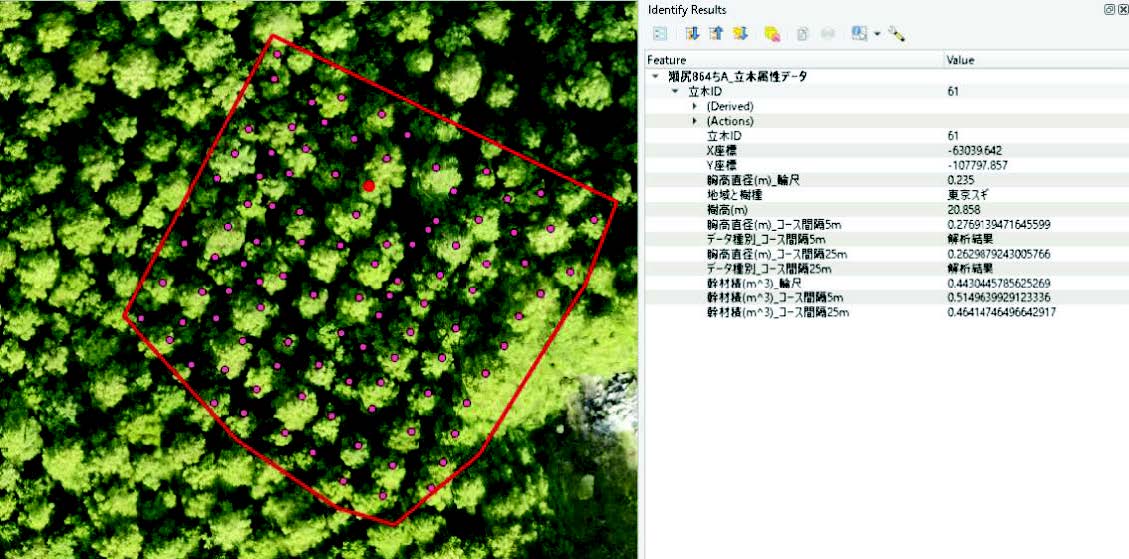 国有林材の販売に係る収穫調査等の効率化に向けた委託事業の報告書を公表しました