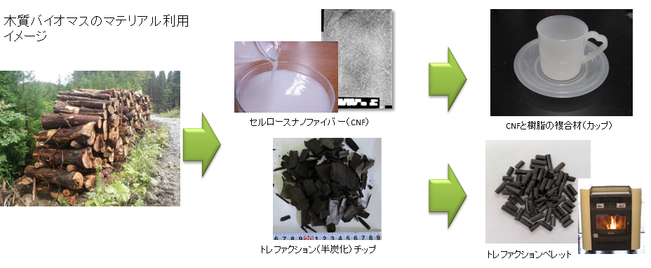 令和4年度の木質バイオマスの新たなマテリアル利用技術開発の成果2件を公表しました