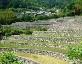 【三重県】JAFドライブスタンプラリー　～選ばれし三重の美しい棚田～