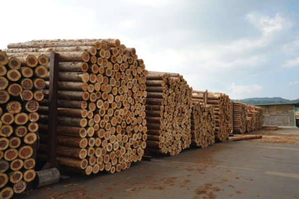 令和4年上半期の木材輸出の実績を公表しました