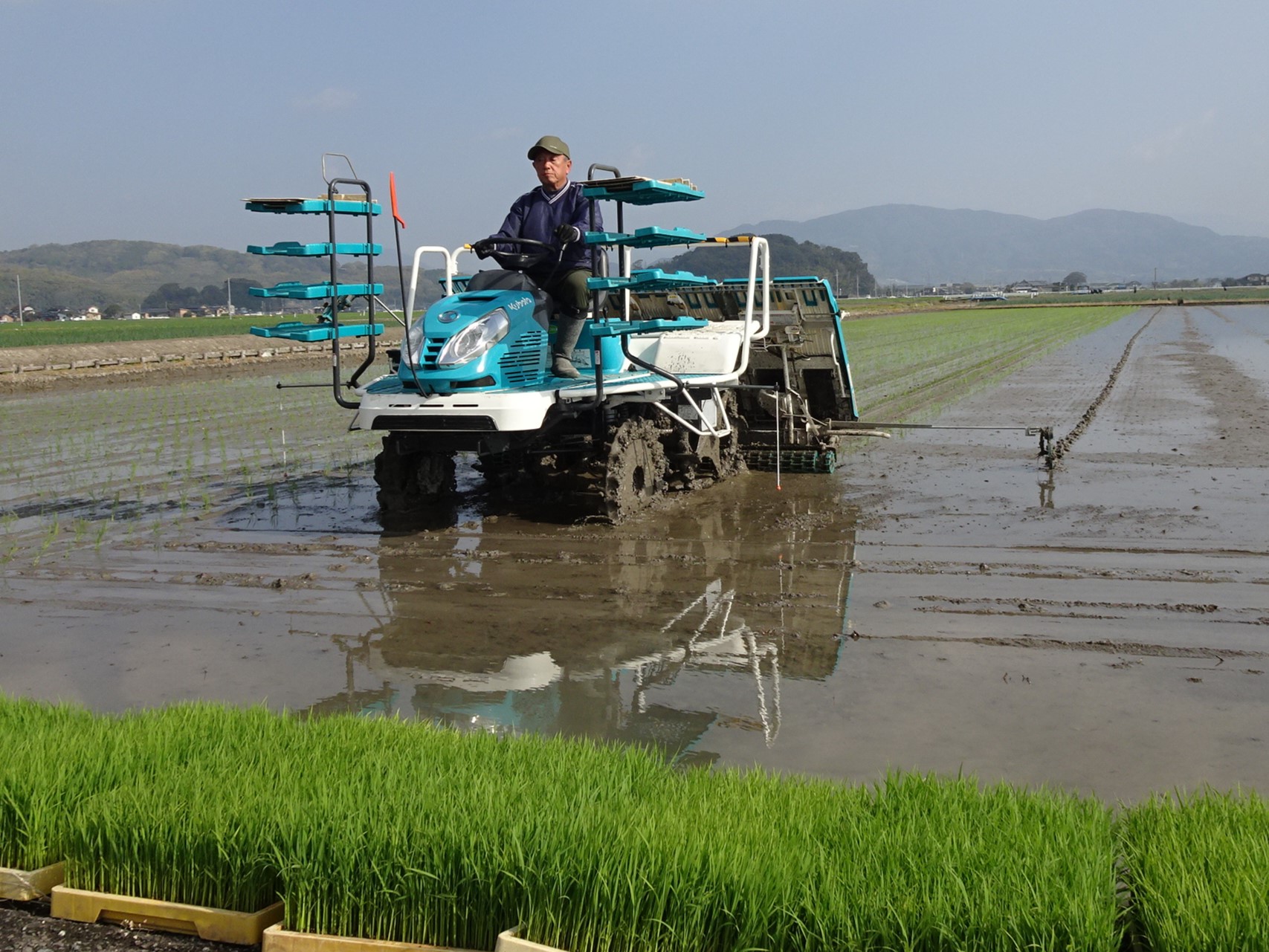 「七夕こしひかり」の田植えがスタート!（佐賀県白石町）