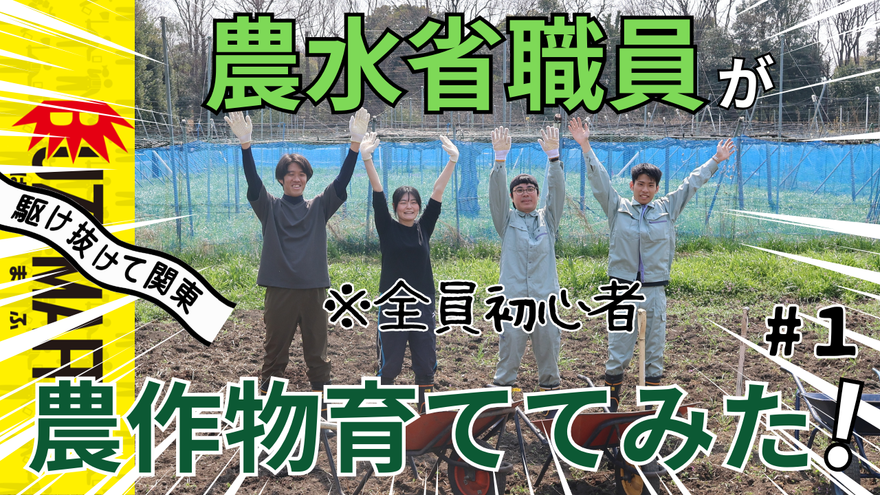 BUZZMAFF【新生駆け抜けて関東、始動】農水省職員が農作物育ててみた！！！