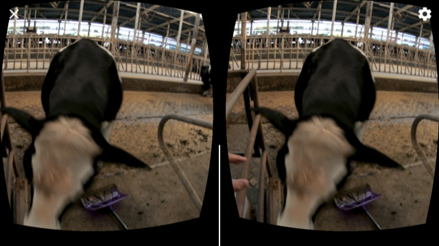 安全対策【畜産業事故体感VR映像】を作成しました！