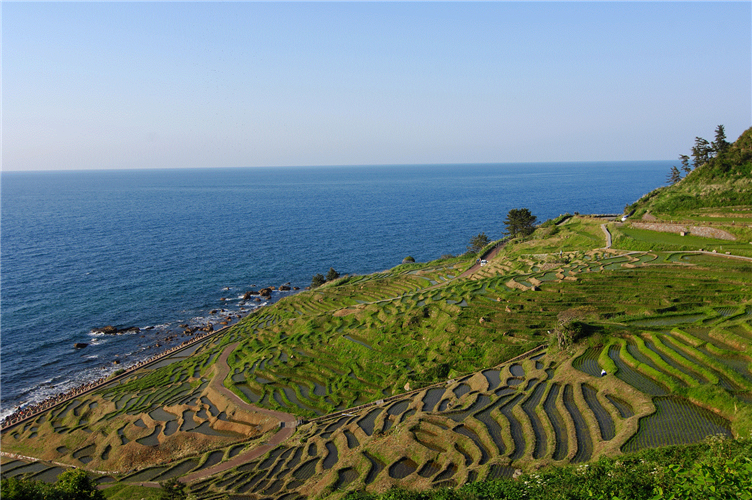 【農業遺産】をご存じですか？