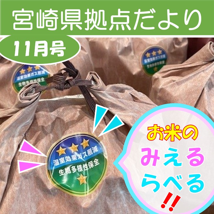「宮崎県拠点だより No.53 11月号」を発行しました！