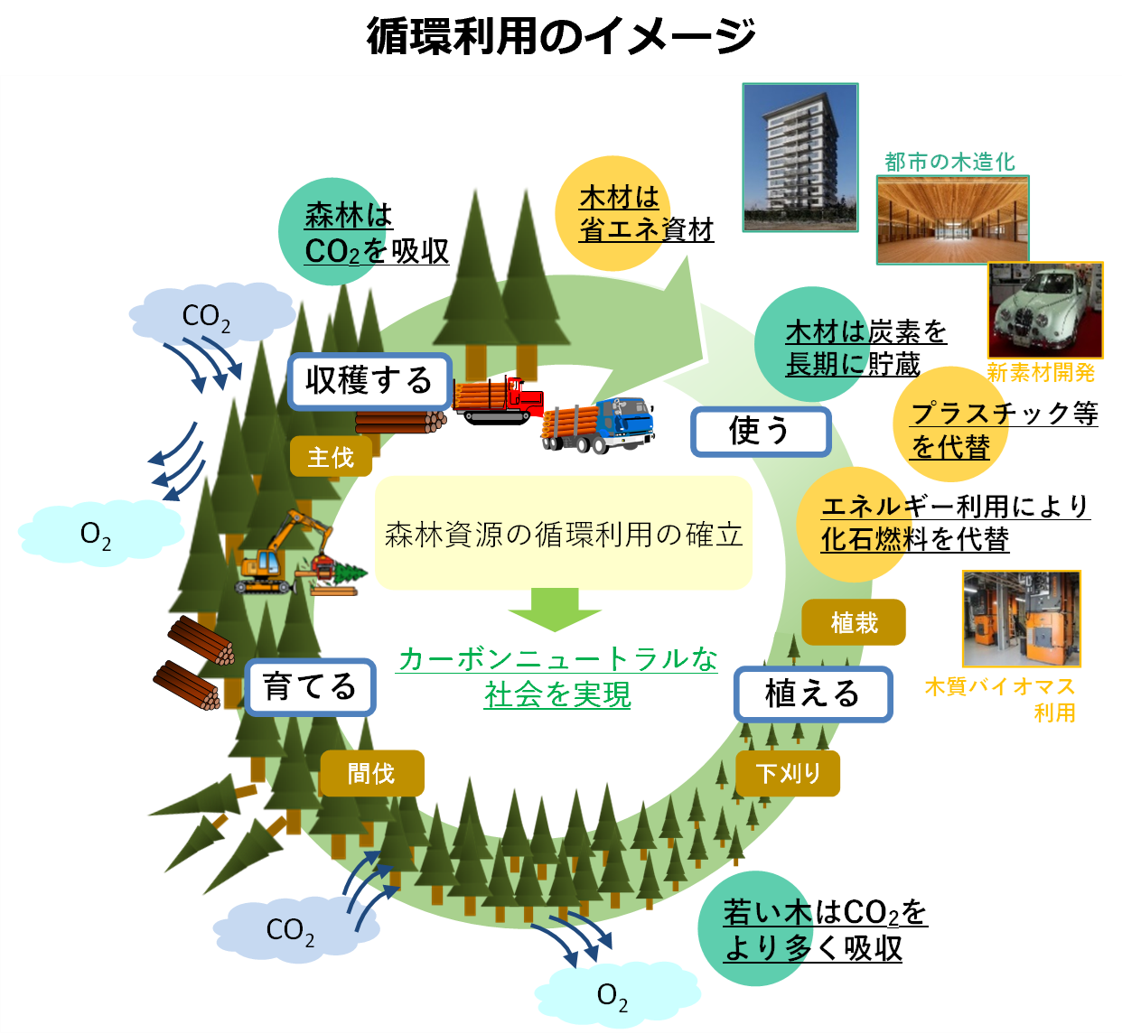 令和4年度森林・林業白書を