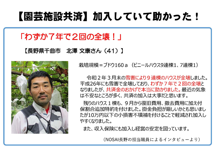 積雪で全壊も園芸施設共済で助かった！　加入者の声をご紹介（長野県千曲市　北澤さん）