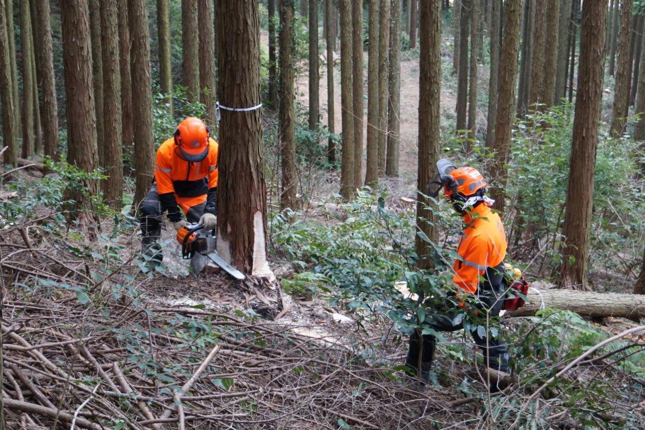 森林環境譲与税を活用した自治体の取組の紹介 Vol.8 佐賀県