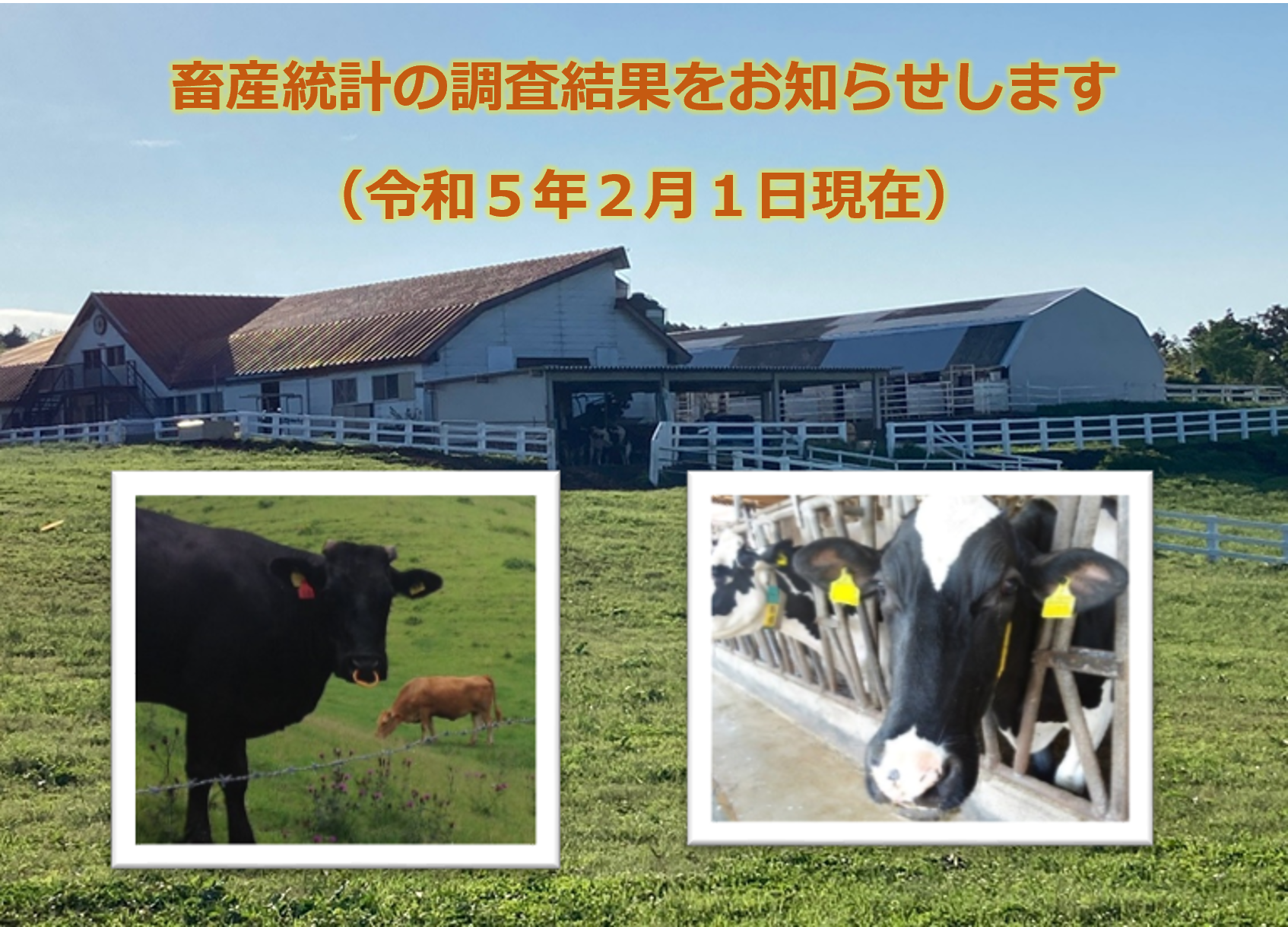 畜産統計の調査結果をお知らせします（令和5年2月1日現在）