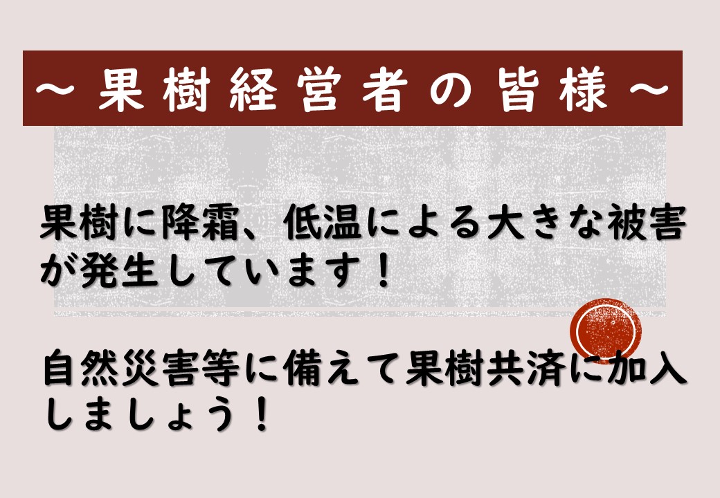 降霜、低温等の被害に備えて果樹共済に加入しましょう！