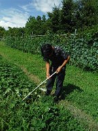 【関東農政局×若者】【４パーミル・イニシアチブ】学生チャレンジのご紹介～学生たちの農業革命～第10弾！