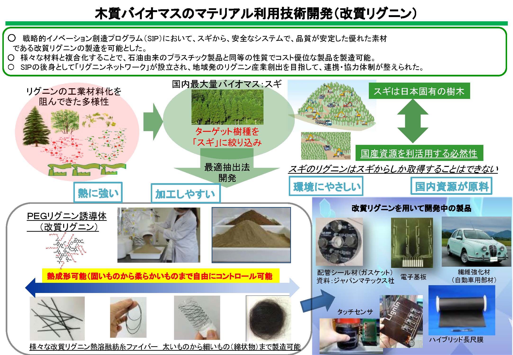 令和4年度の木質バイオマスの新たなマテリアル利用技術開発の成果2件を公表しました