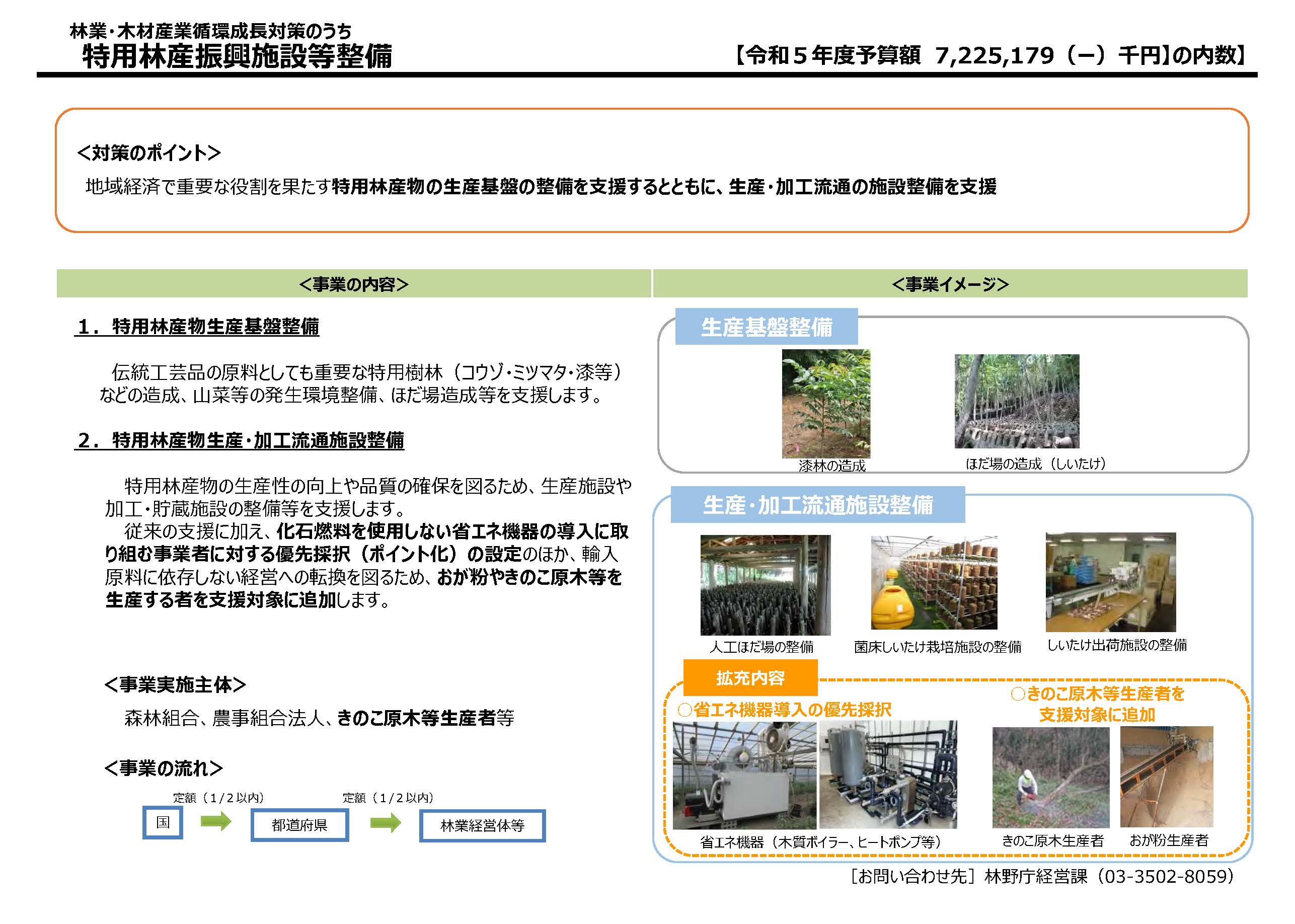 竹林整備及び竹材利用に係る対策(令和5年度版)を公表しました