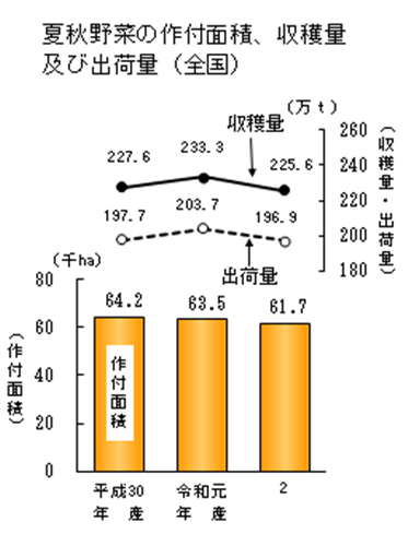 【統計】春野菜、夏秋野菜、たまねぎの作付面積、収穫量及び出荷量を公表！