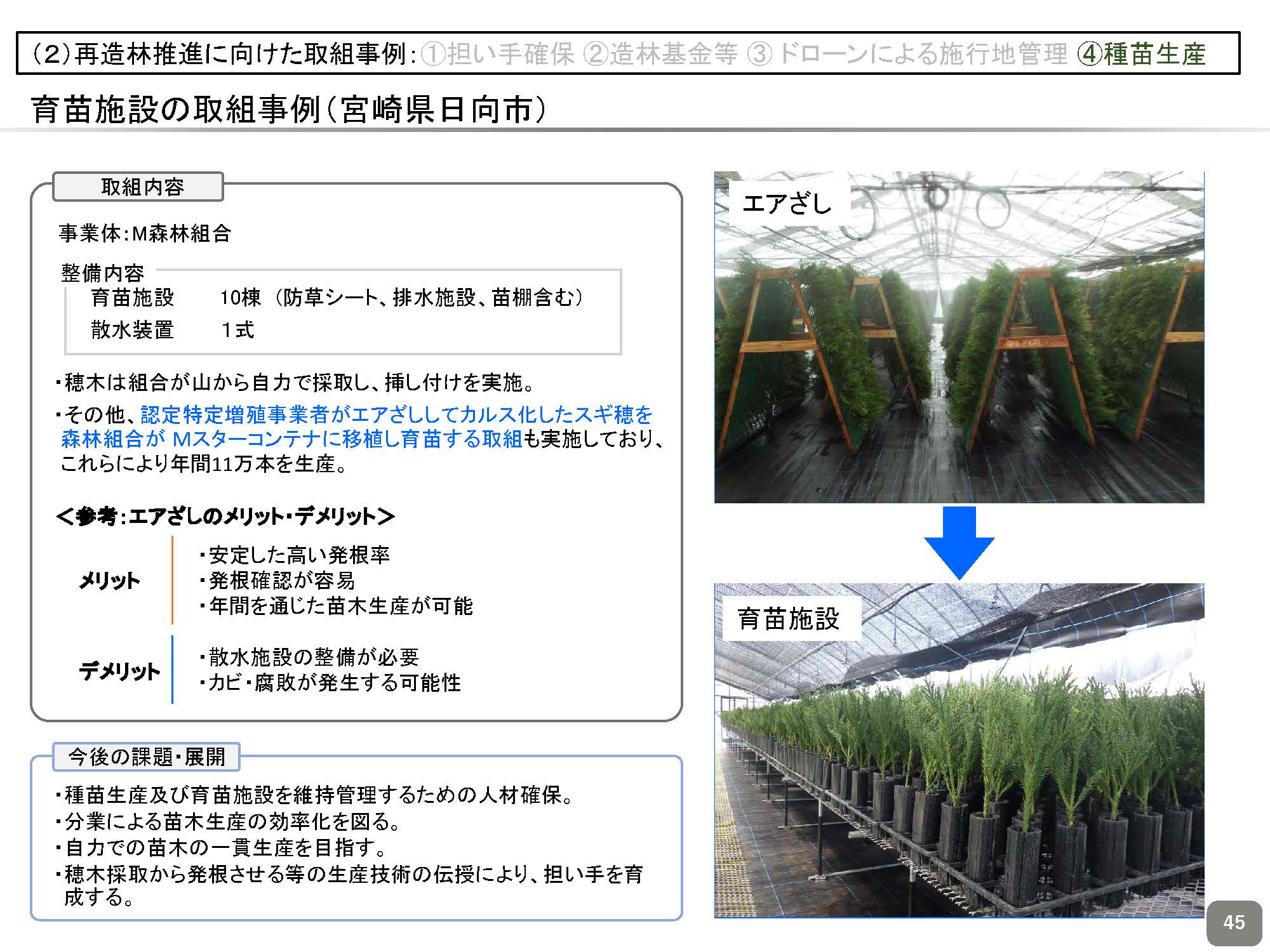 「再造林対策の推進に向けた現場での取組事例」を公表しました