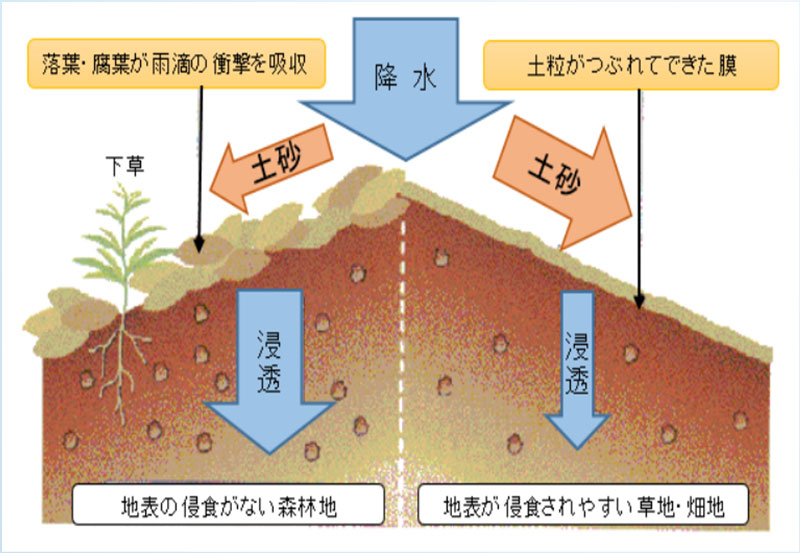 パンフレット「森林の水源涵養機能の発揮に向けて」を公開しました