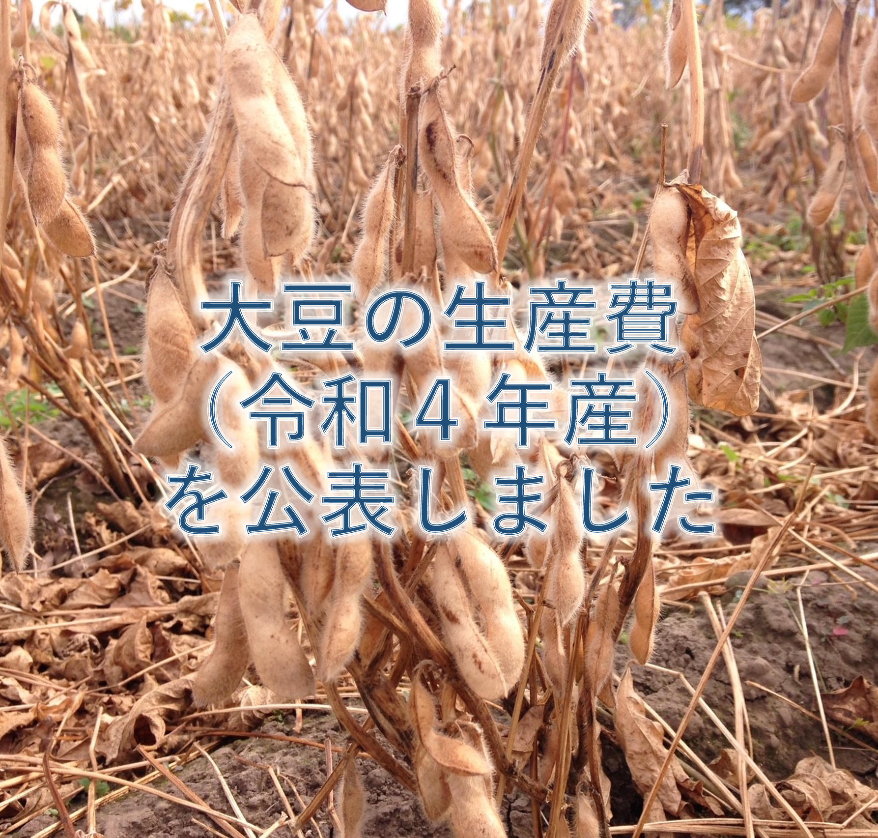 大豆の生産費（令和4年産）を公表しました