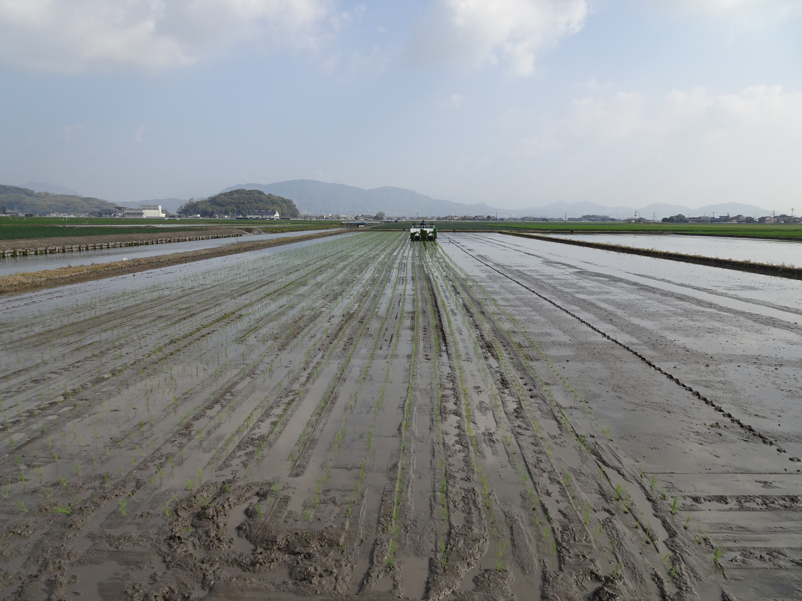 「七夕こしひかり」の田植えがスタート!（佐賀県白石町）