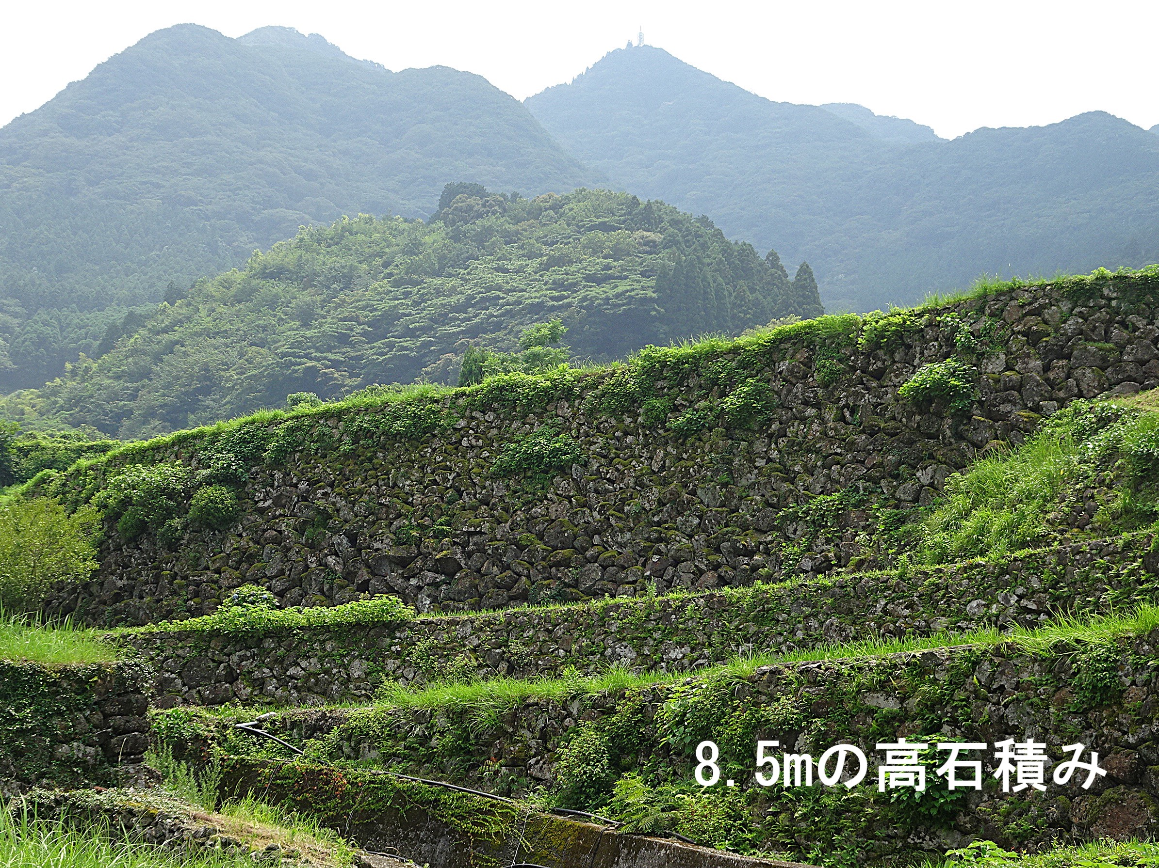 つなぐ棚田遺産「蕨野(わらびの)の棚田」をご紹介(佐賀県唐津市相知町)
