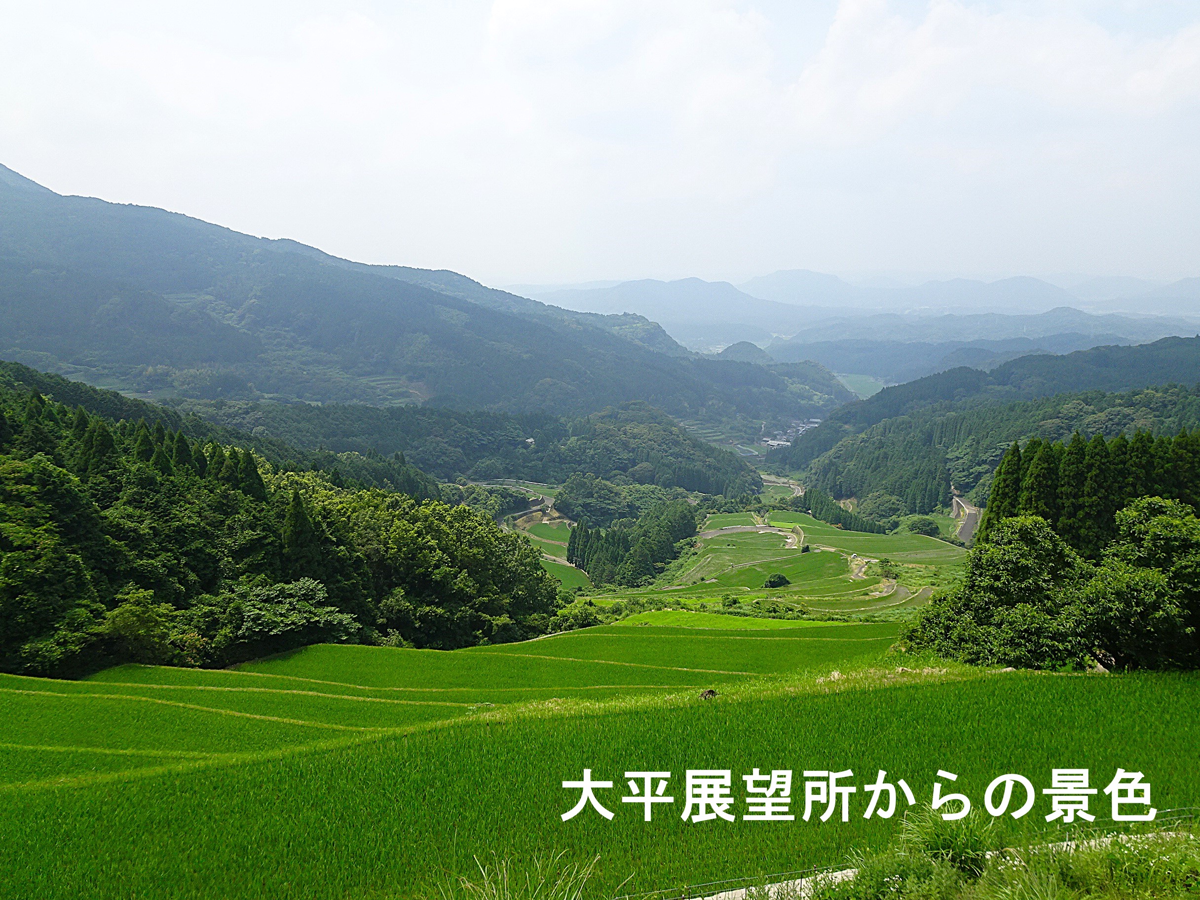 つなぐ棚田遺産「蕨野(わらびの)の棚田」をご紹介(佐賀県唐津市相知町)
