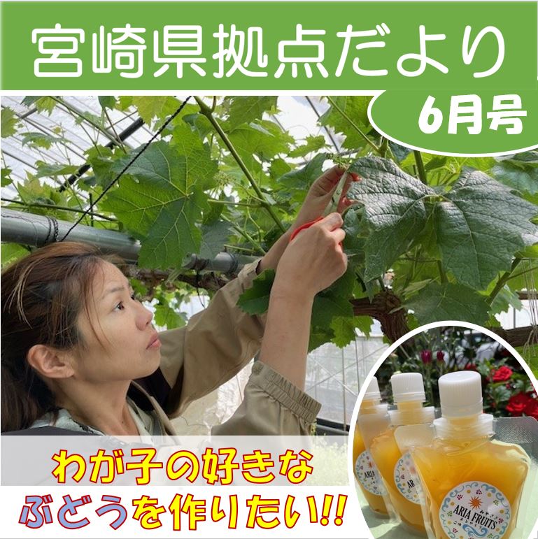 「宮崎県拠点だより №48 6月号」を発行しました！
