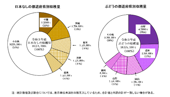 【統計】日本なし、ぶどうの収穫量及び出荷量（令和3年産）を公表！