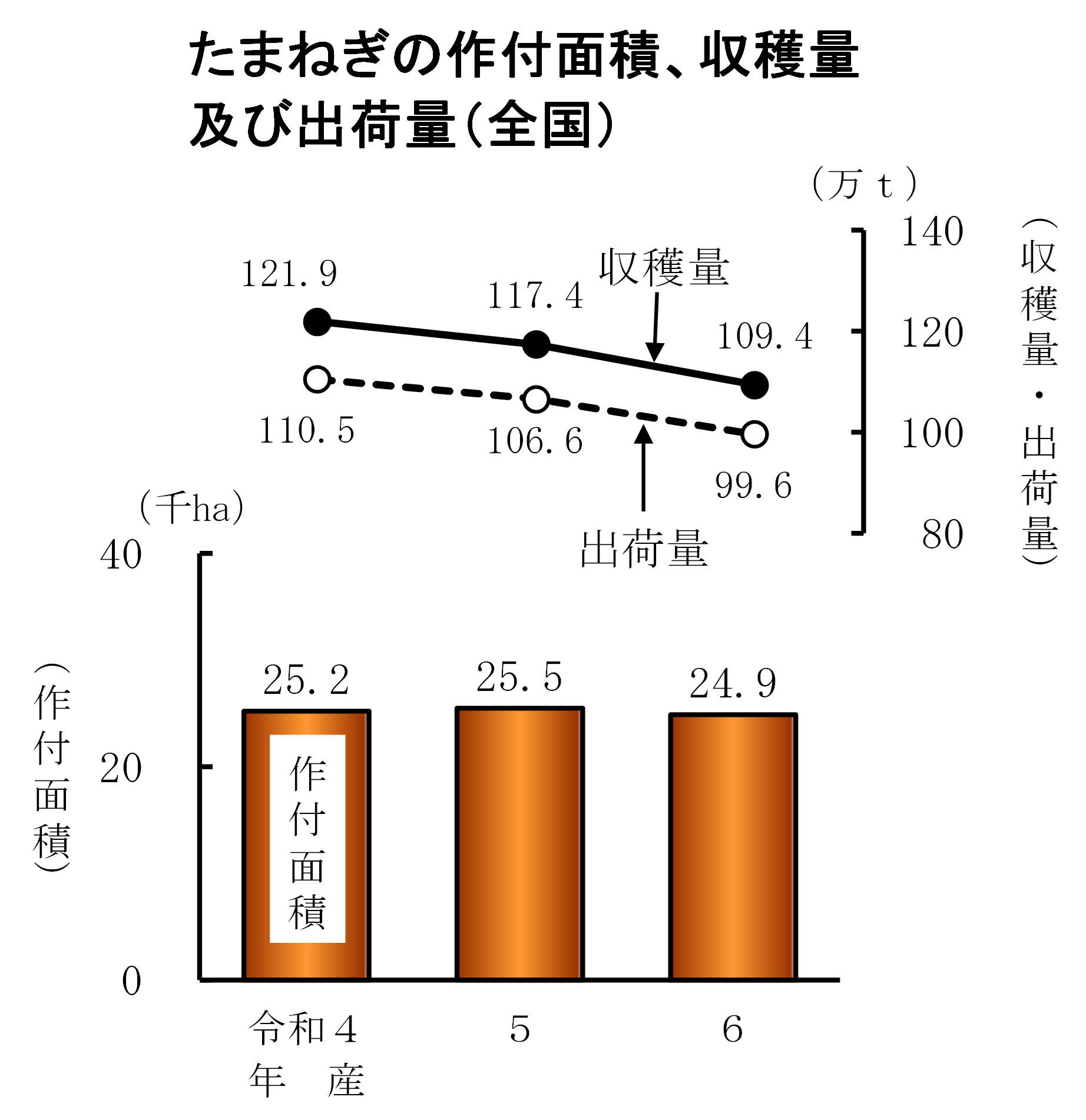 春野菜、夏秋野菜、たまねぎの収穫量等(令和6年産)をお知らせします