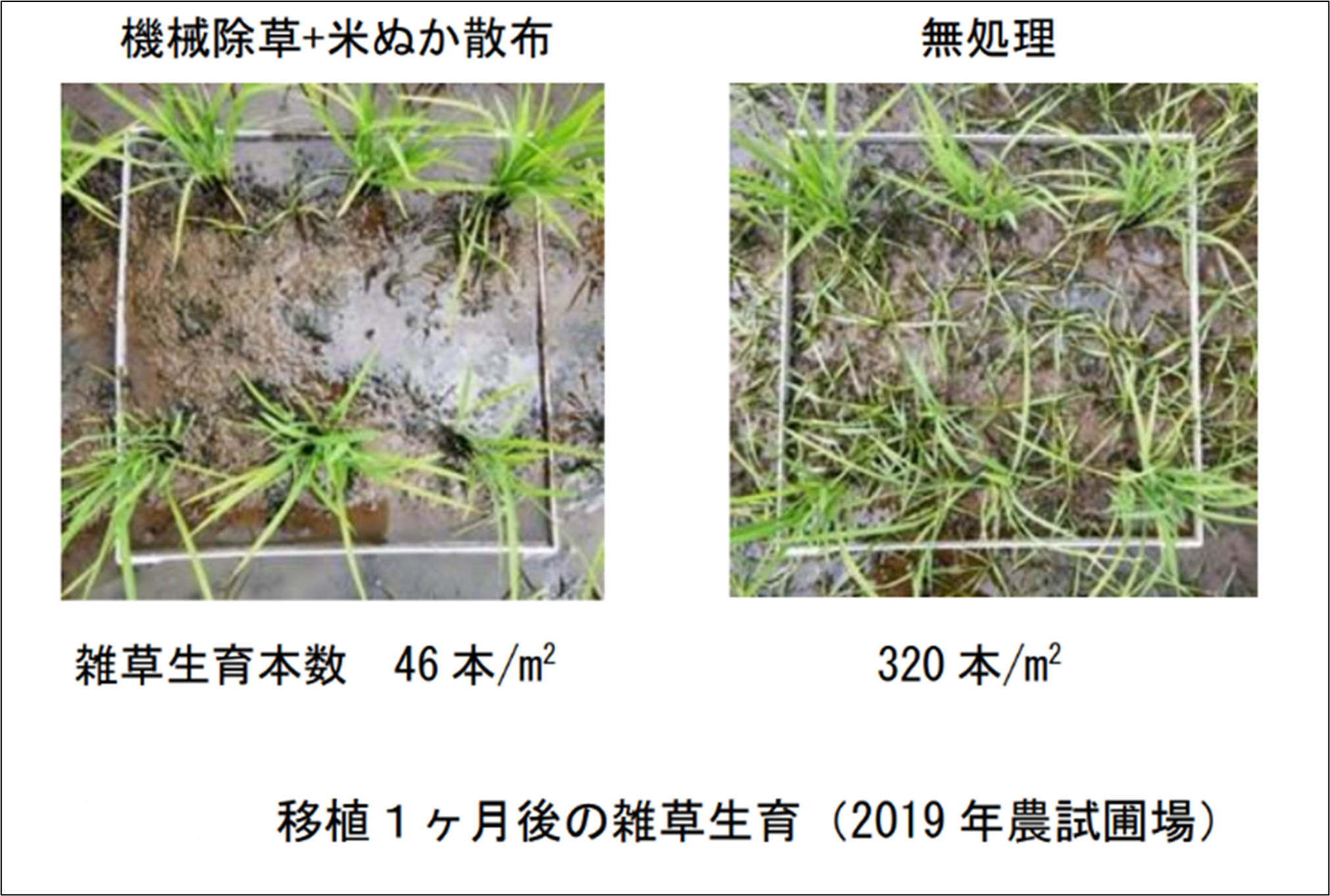 「みどりの食料システム戦略」技術カタログ紹介：ペレット肥料散布機付き除草機のご紹介