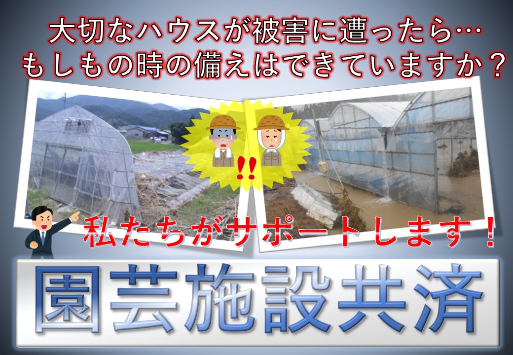 農業用ハウスの災害リスクに備えるなら園芸施設共済にお任せください！