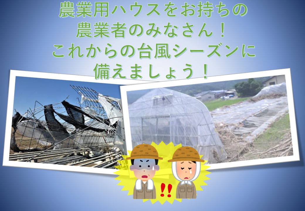 農業用ﾊｳｽをお持ちの農業者のみなさん!これからの台風ｼｰｽﾞﾝに備えましょう!