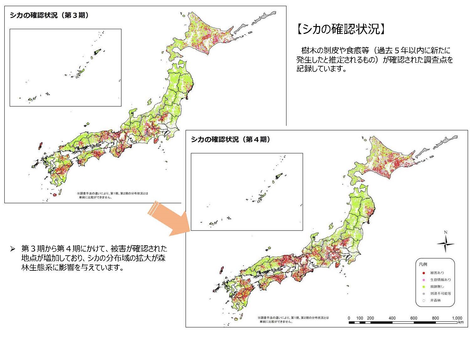 森林生態系多様性基礎調査第4期調査の結果を公表しました