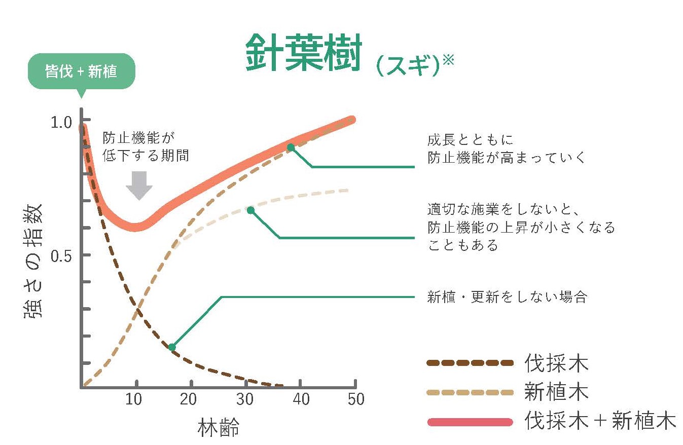 パンフレット「森林の根系が持つ表層崩壊防止機能」を公開しました