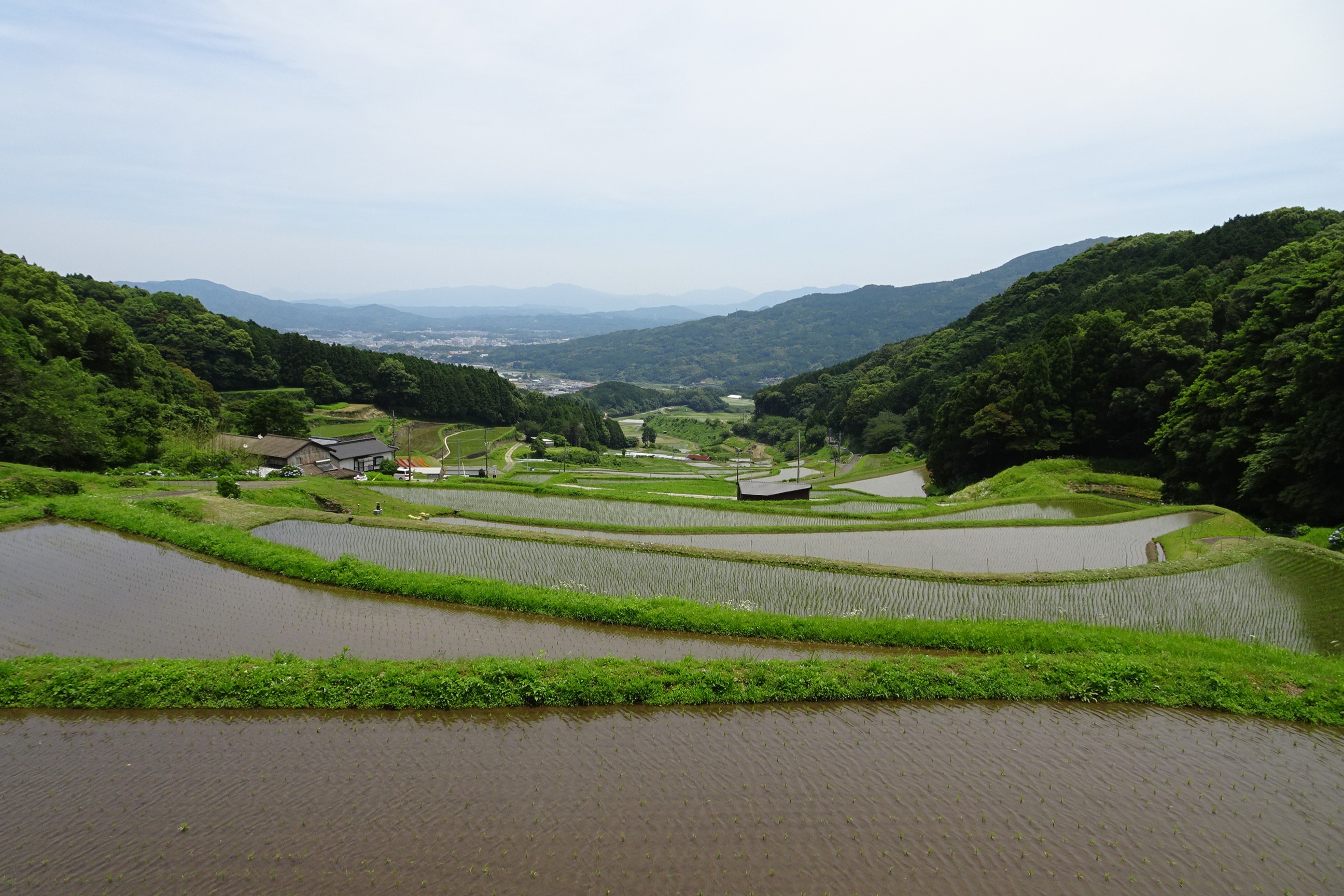 中田棚田（すみやまの棚田）