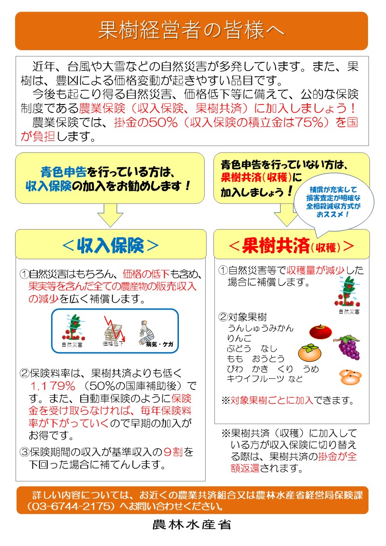 びわを栽培している皆様　自然災害等に備えて農業保険(果樹共済又は収入保険）に加入しましょう！