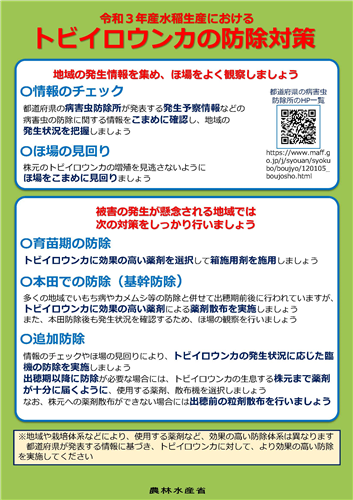 トビイロウンカ防除対策に取り組みましょう