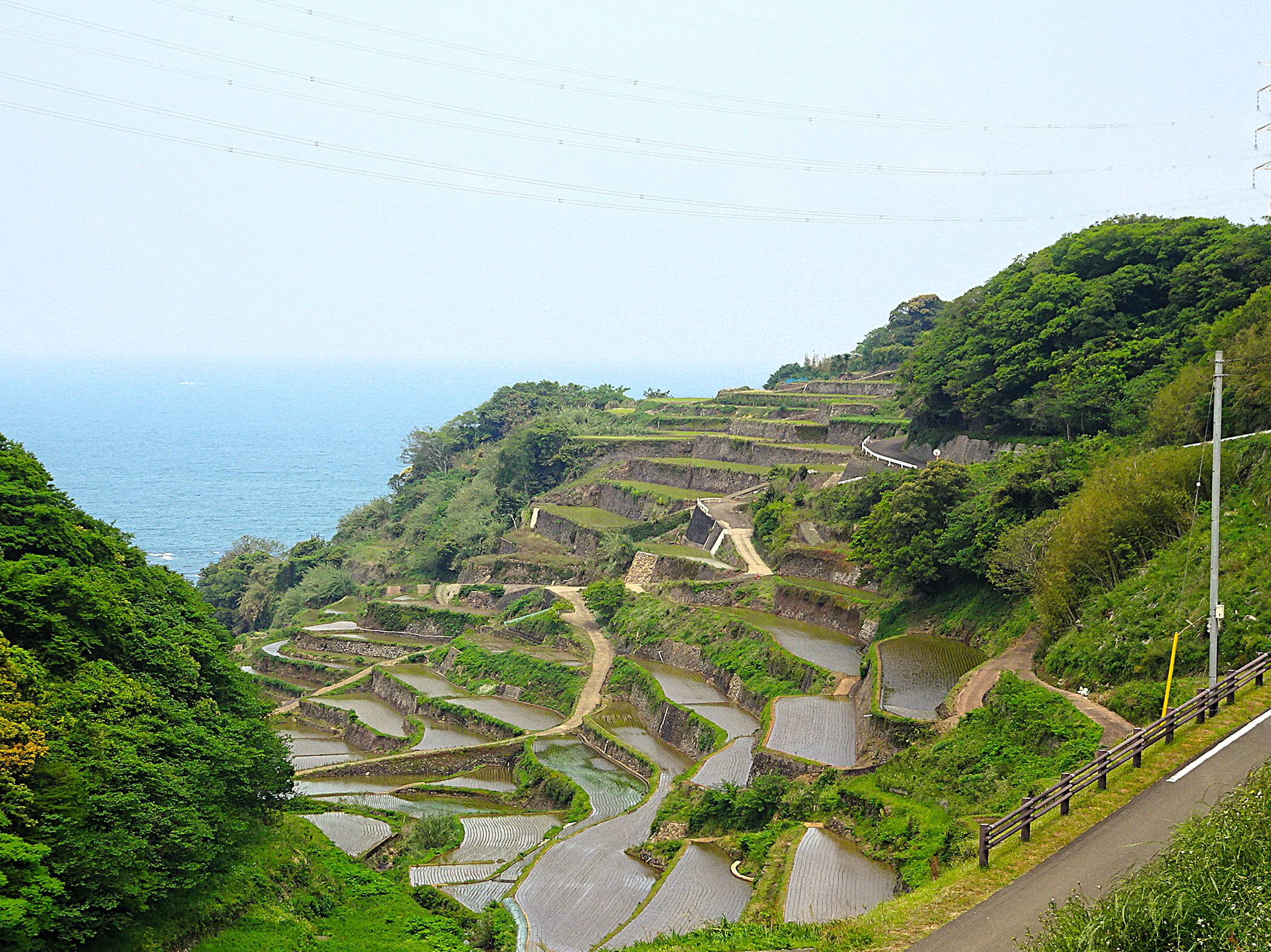 つなぐ棚田遺産「浜野浦の棚田」をご紹介（佐賀県東松浦郡玄海町）
