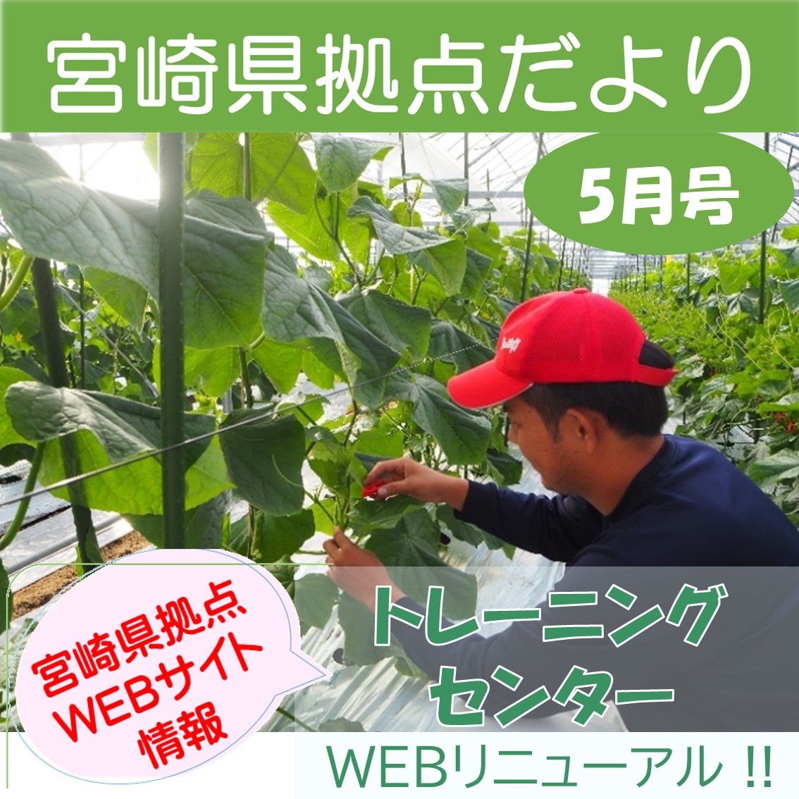 「宮崎県拠点だより　5月号」を発刊しました！