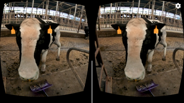 安全対策【畜産業事故体感VR映像】を作成しました！