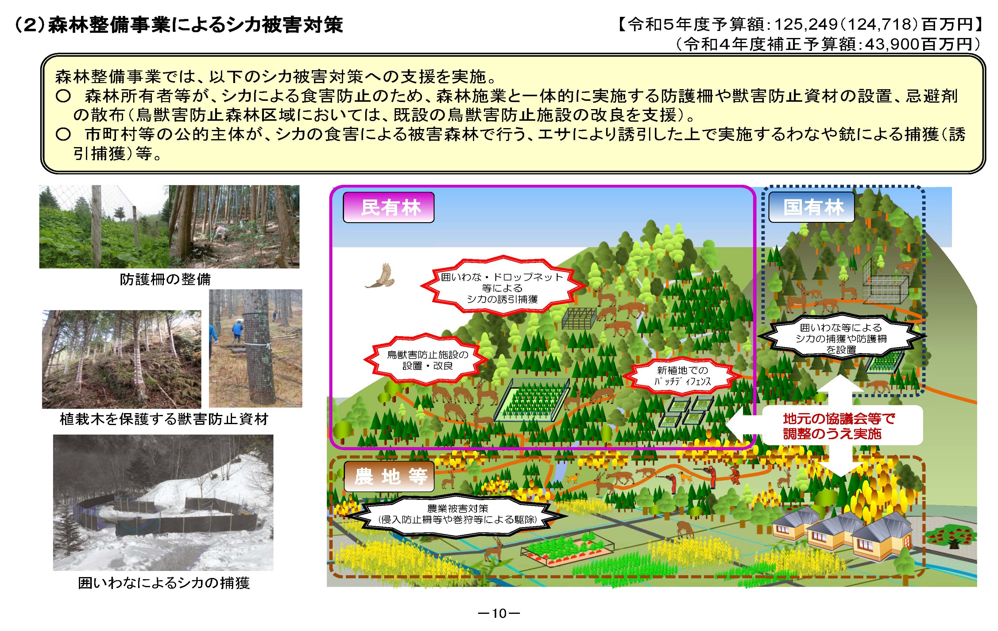 「森林における鳥獣害対策について」の資料を更新しました