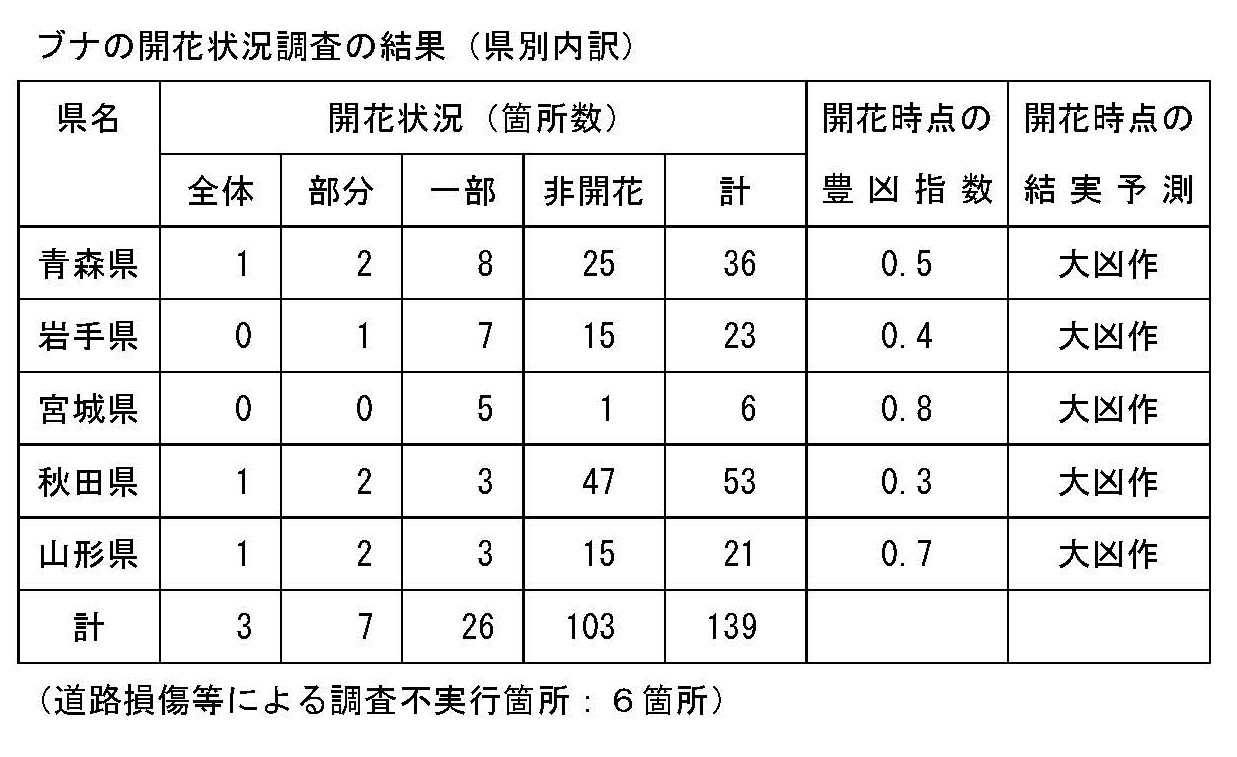 東北5県のブナの開花状況と結実予測を公表しました